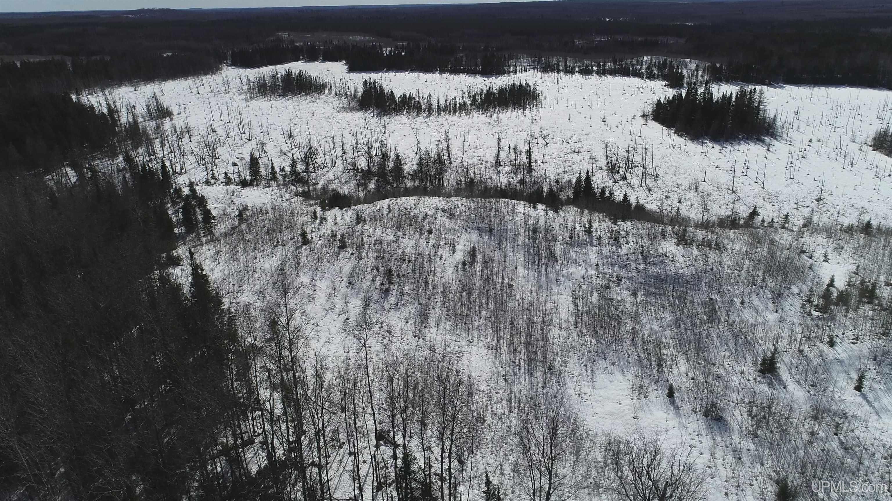North 20 acres 18 Road photo 39