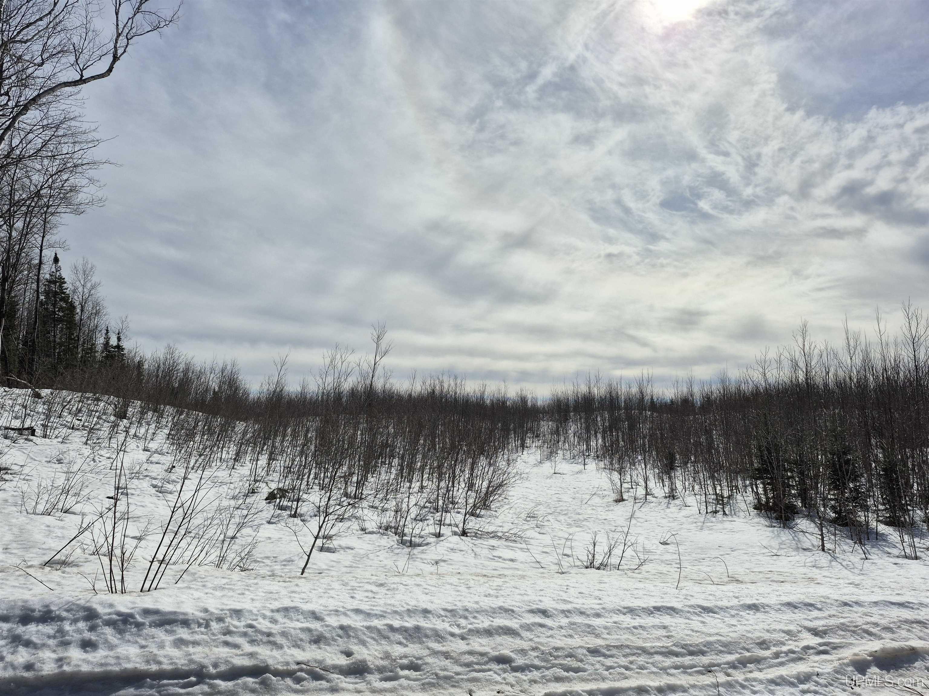 North 20 acres 18 Road photo 5