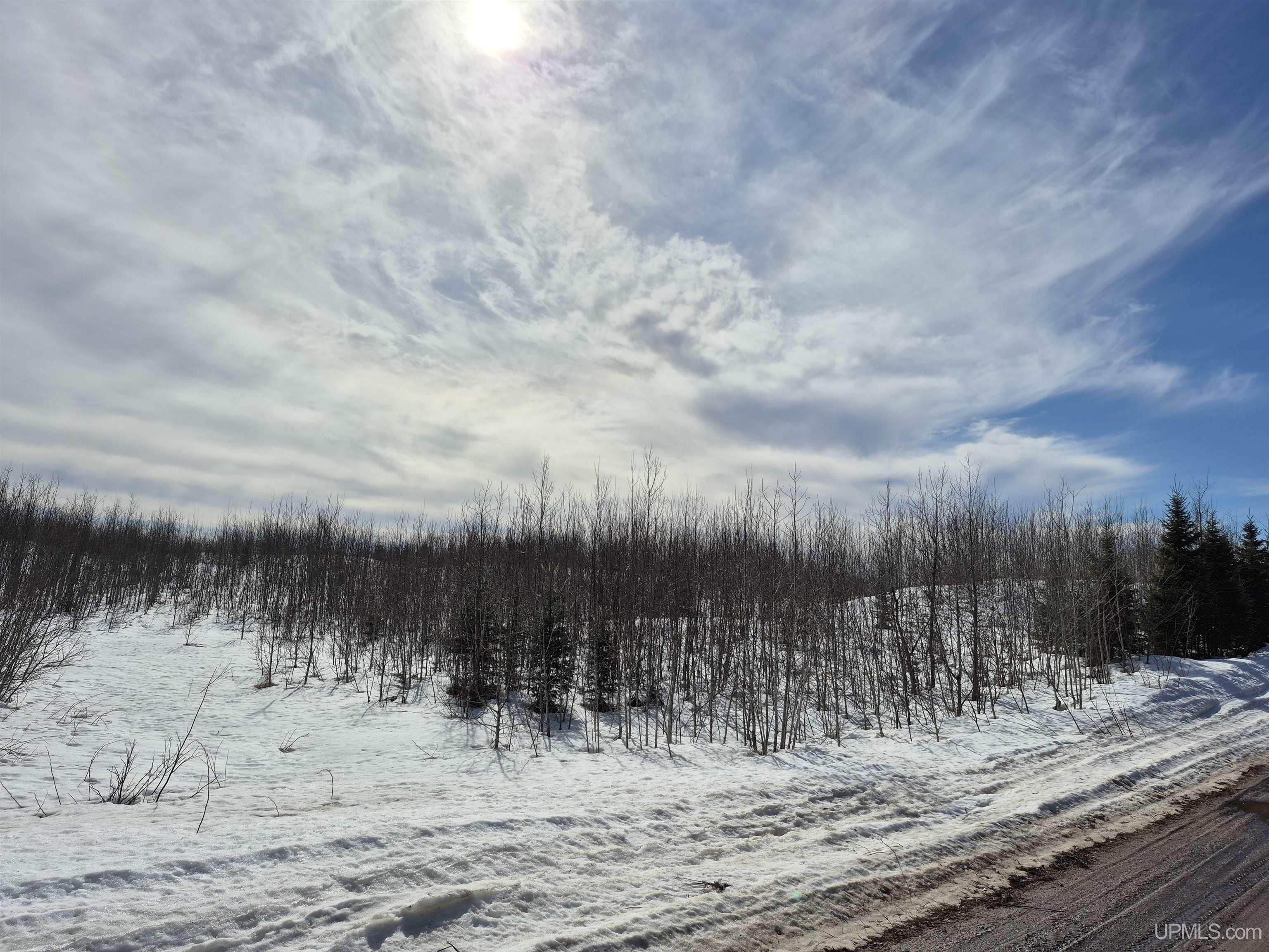 North 20 acres 18 Road photo 6