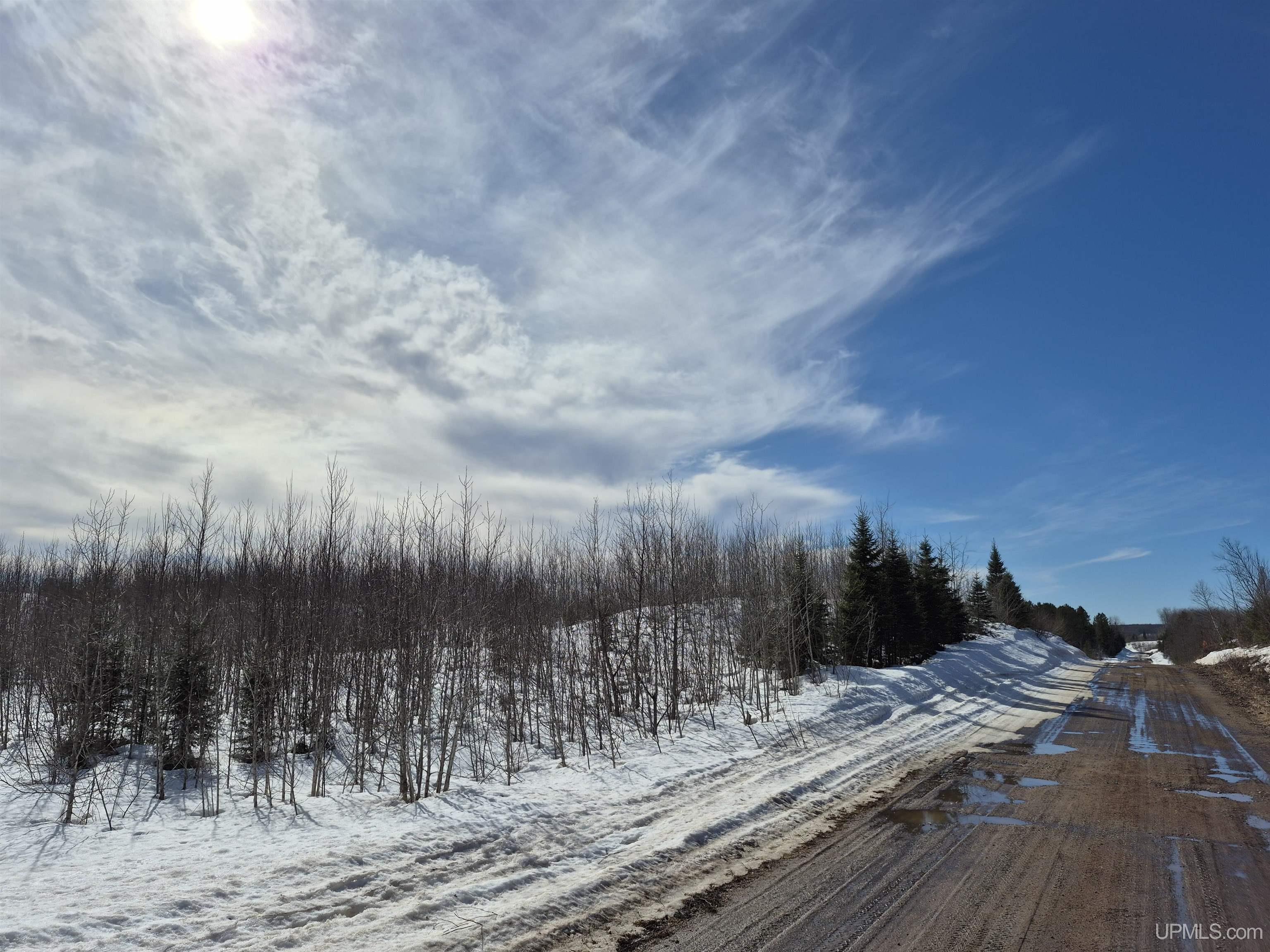 North 20 acres 18 Road photo 7