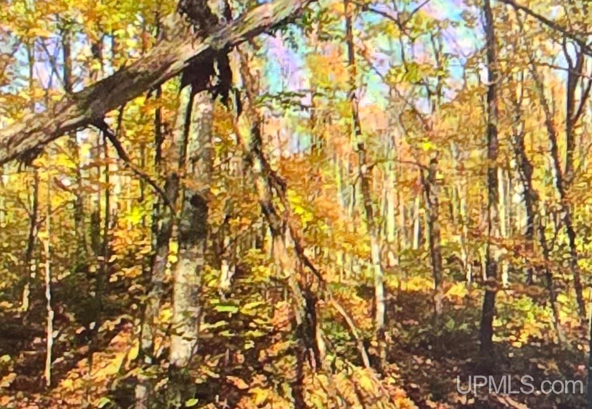 Homes for sale in Nisula, MI | Tbd Orange Rd, Nisula, MI 49952 | MLS# 50200702