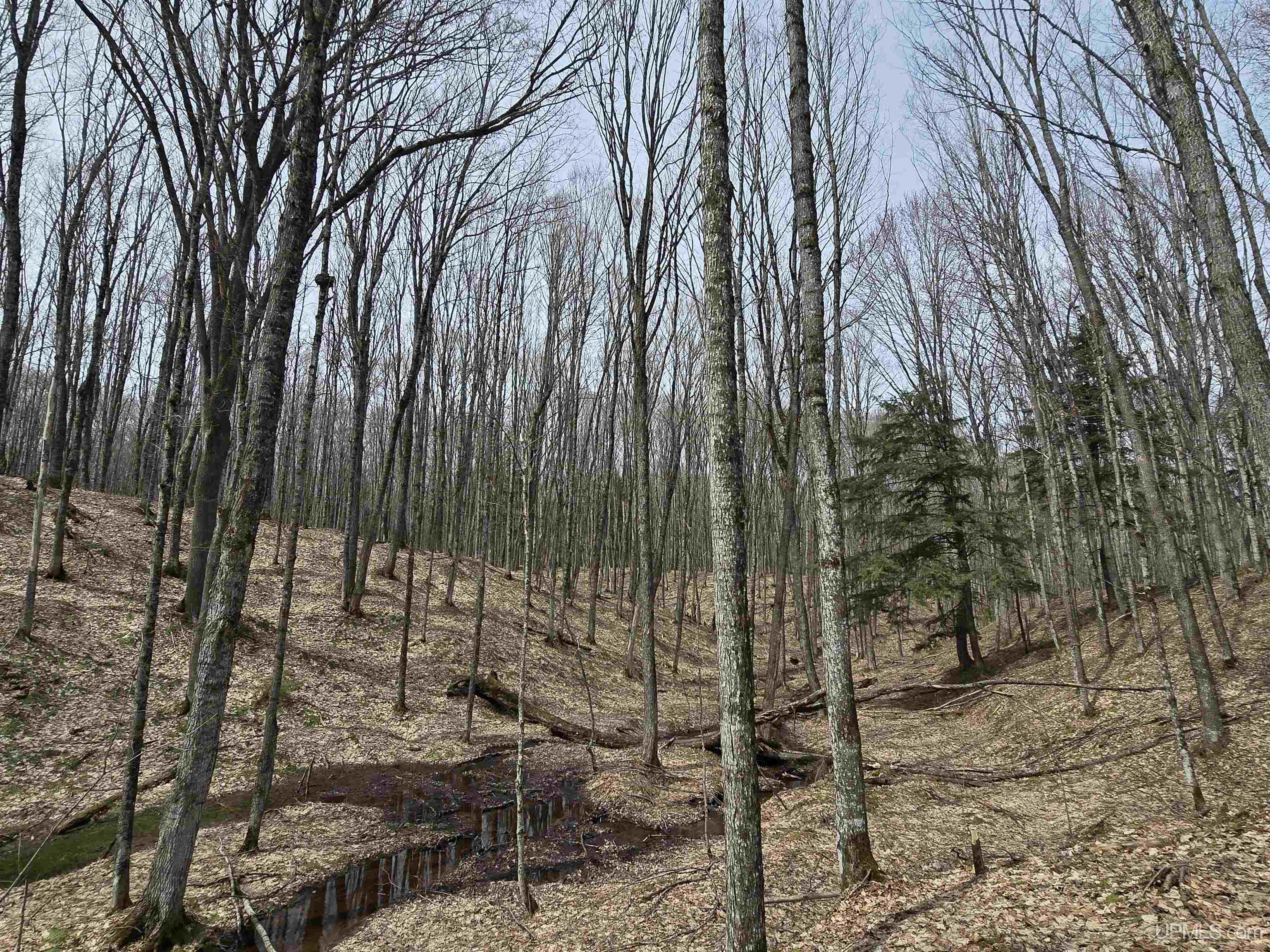 MLS 50200702 Large photo number 15 
