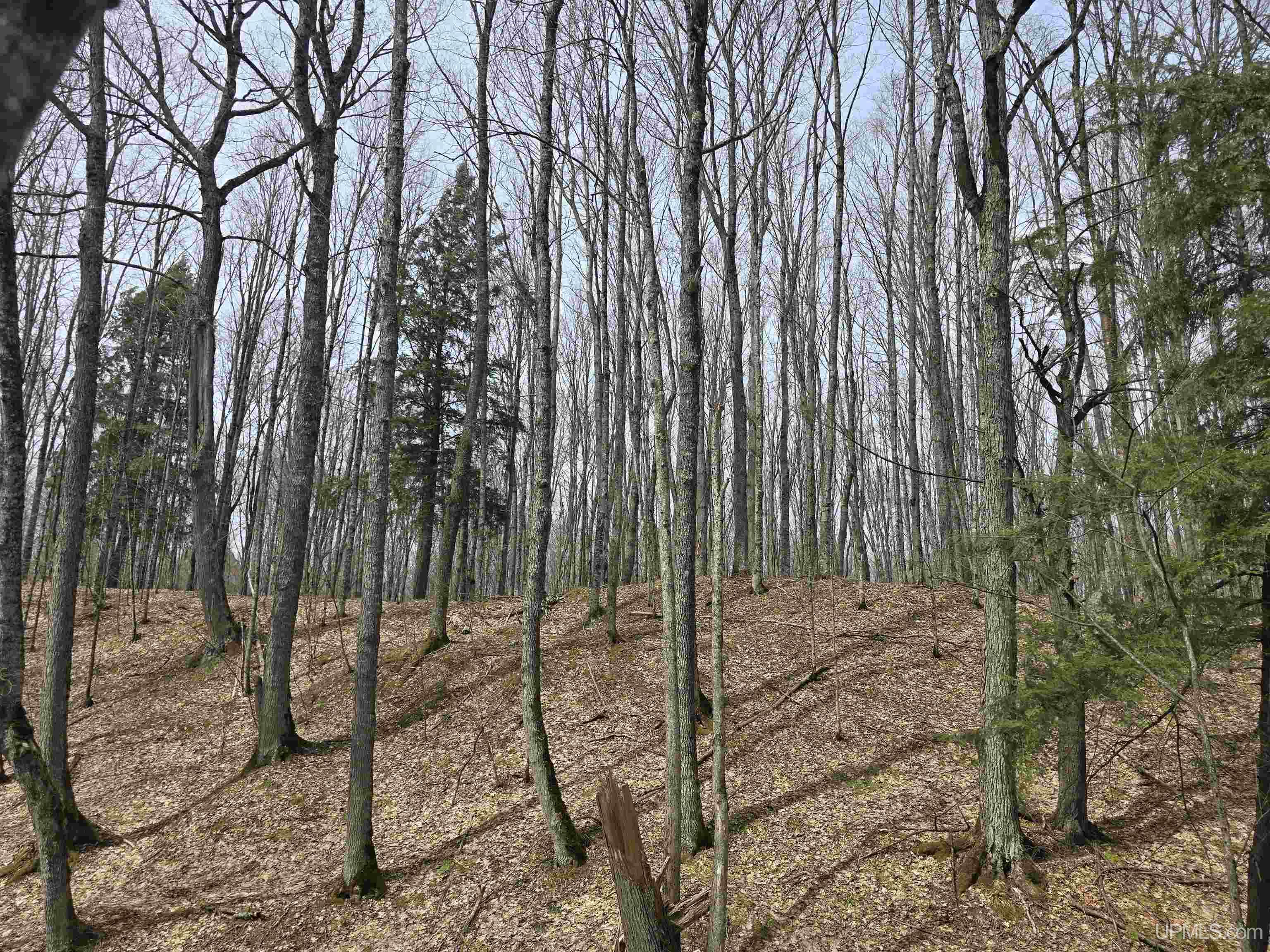 MLS 50200702 Large photo number 17 