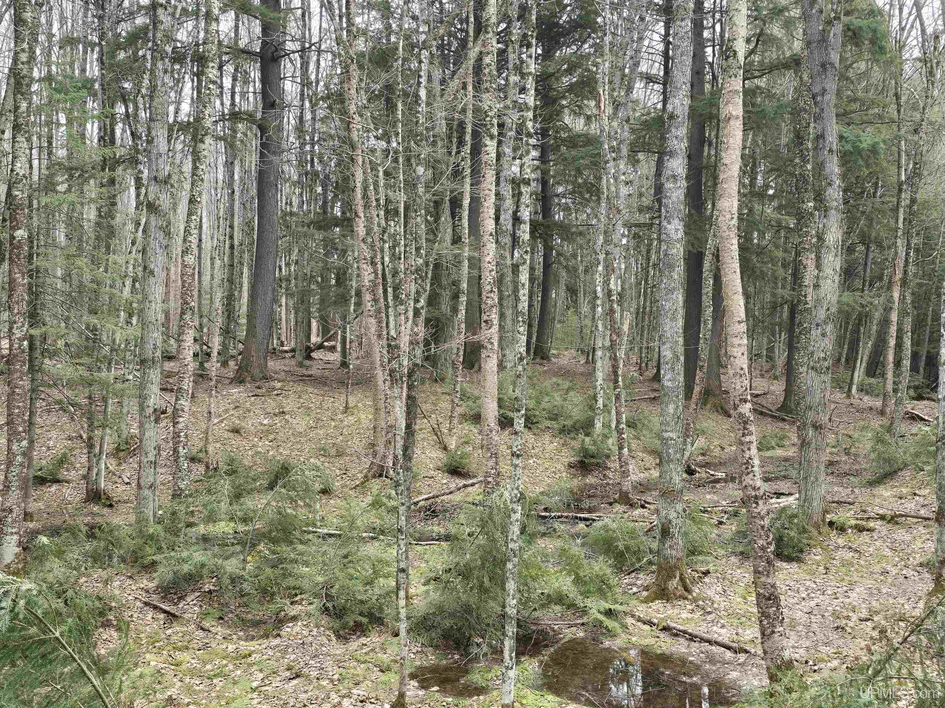 MLS 50200702 Large photo number 22 