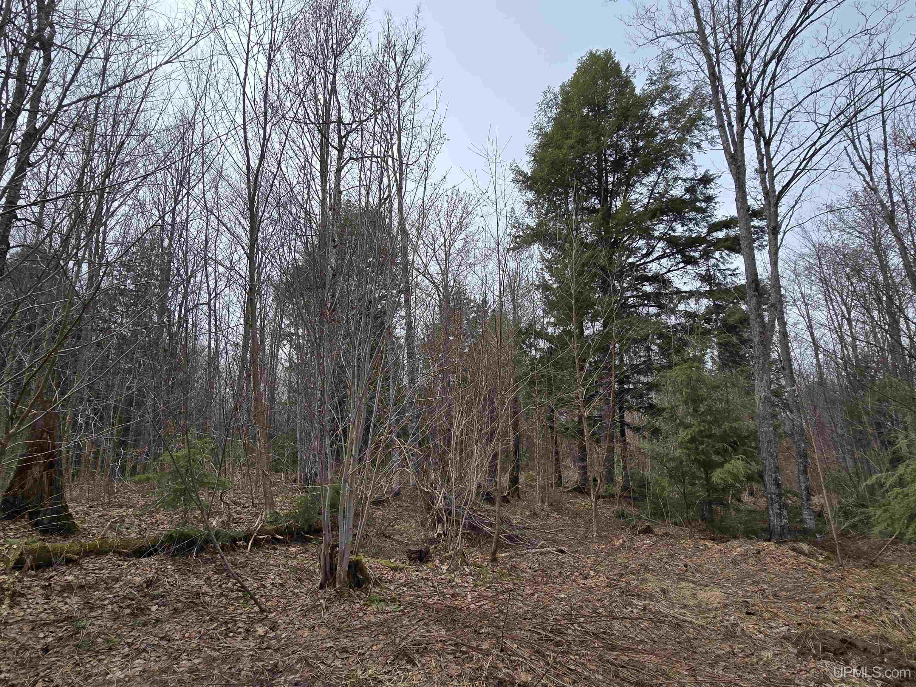 MLS 50200702 Large photo number 23 