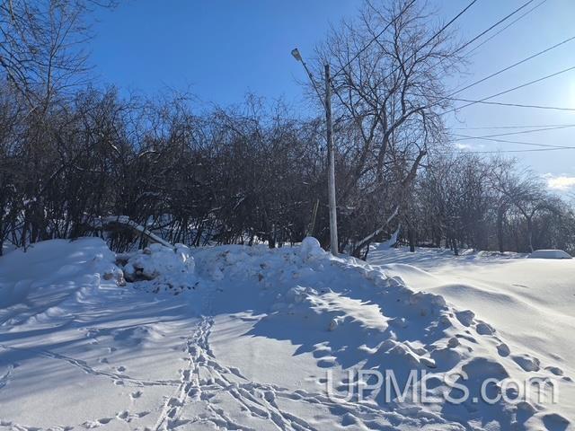 TBD Pewabic Street, Iron Mountain, MI, 49801