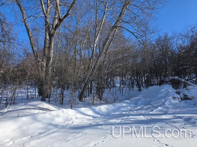 TBD Pewabic Street, Iron Mountain, MI, 49801