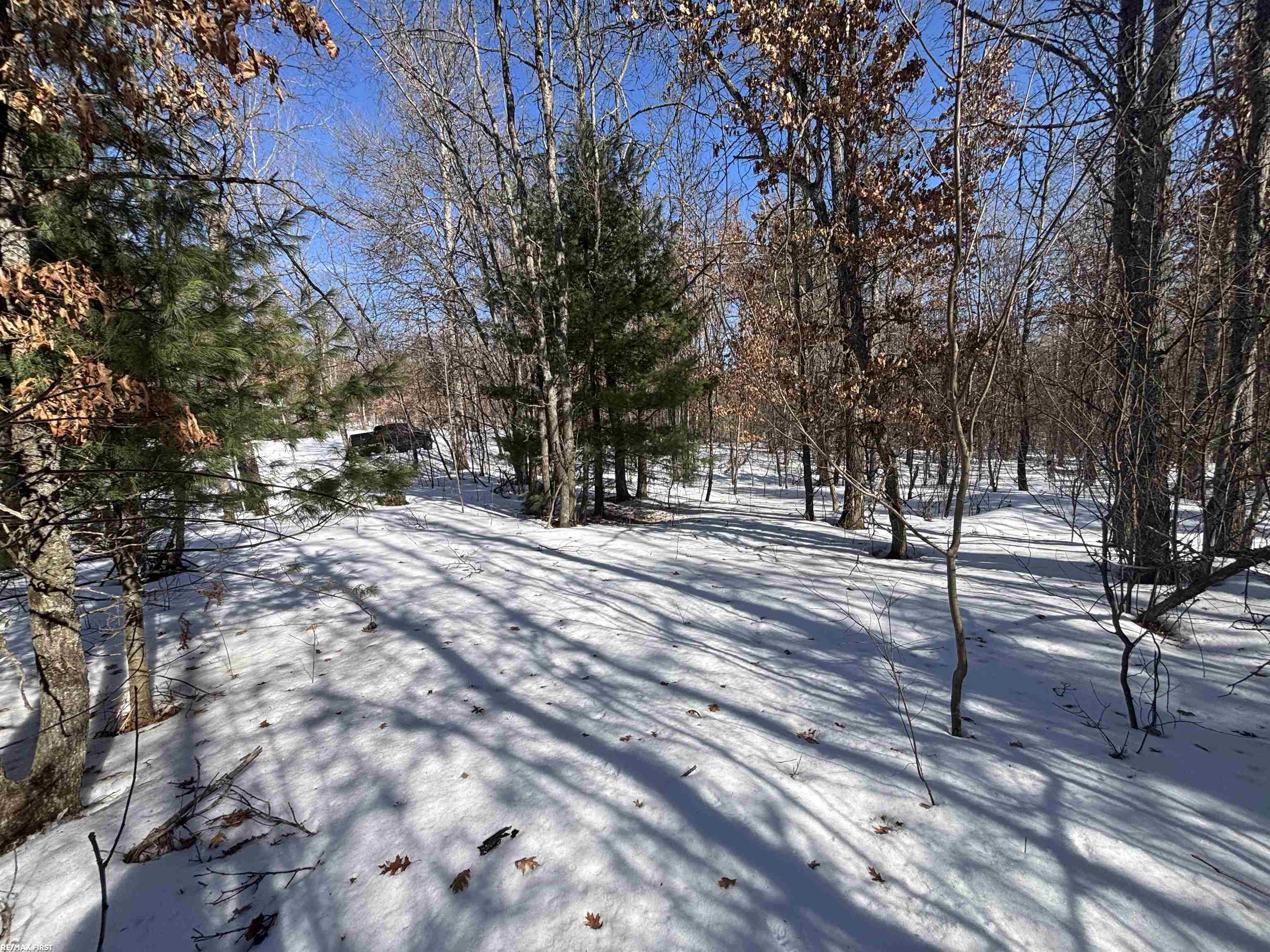 30 Heideldorf Drive, Bellaire, MI, 49615