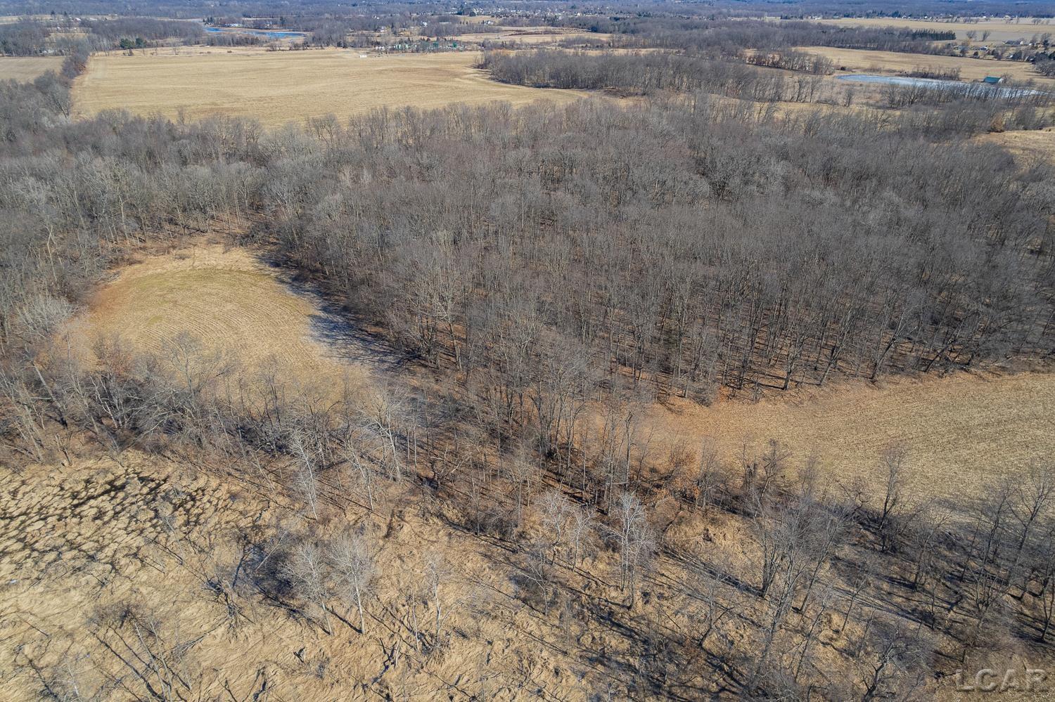 9550 Case Road, Brooklyn, MI, 49230