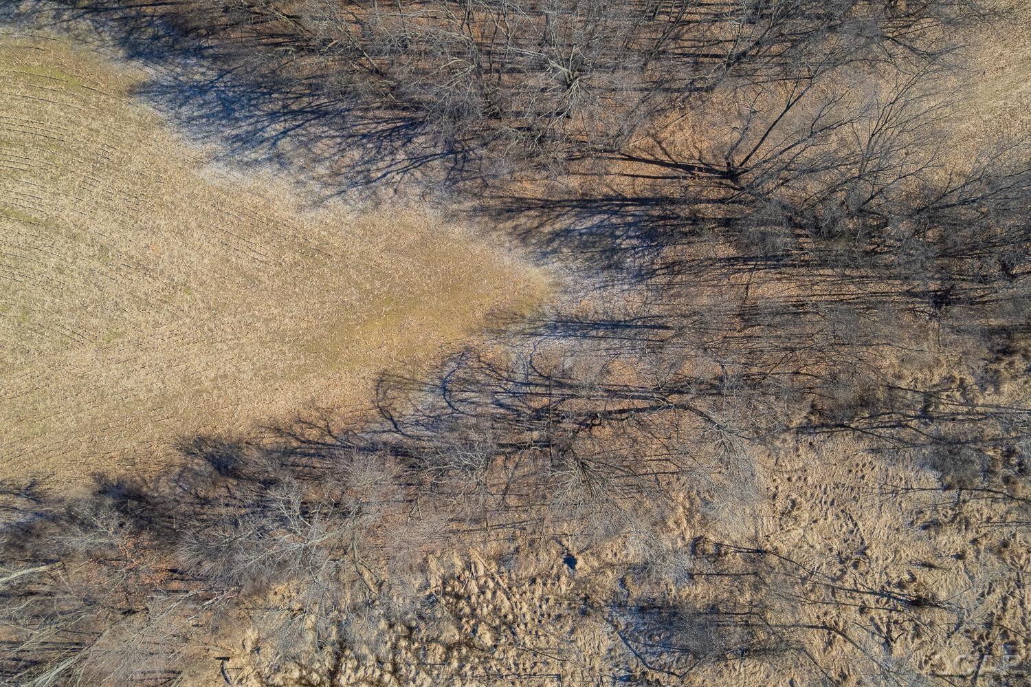 9550 Case Road, Brooklyn, MI, 49230