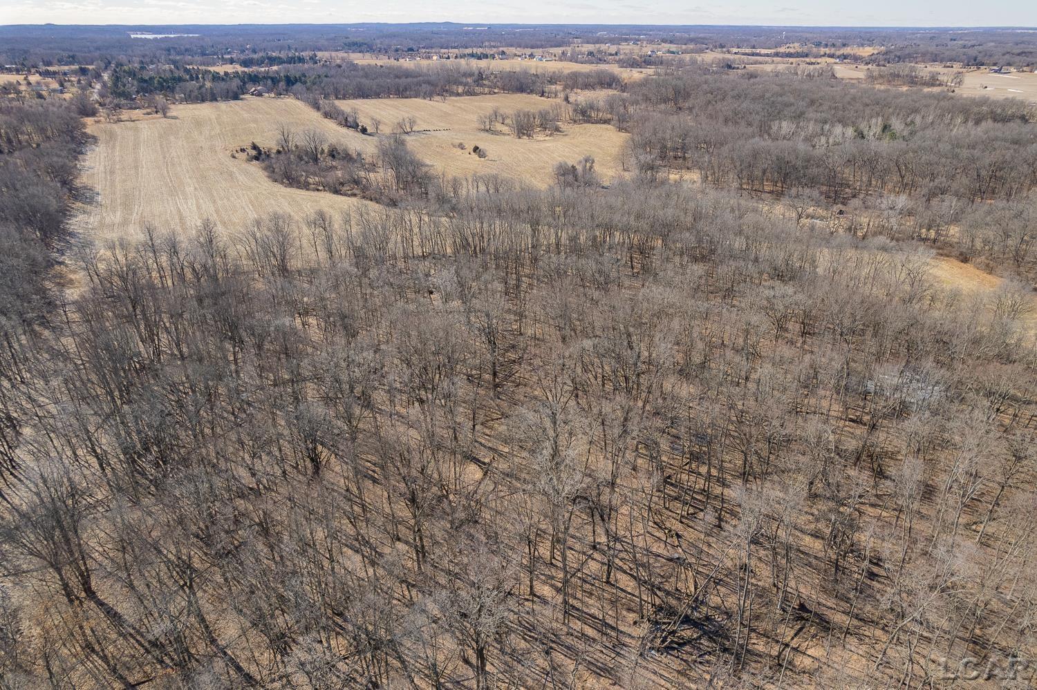 9550 Case Road, Brooklyn, MI, 49230