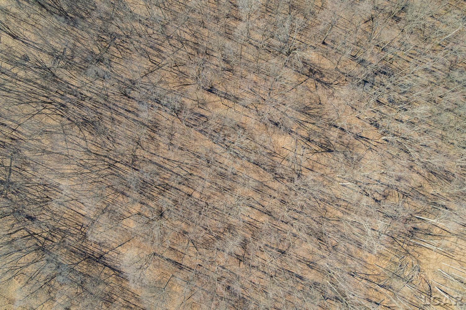 9550 Case Road, Brooklyn, MI, 49230