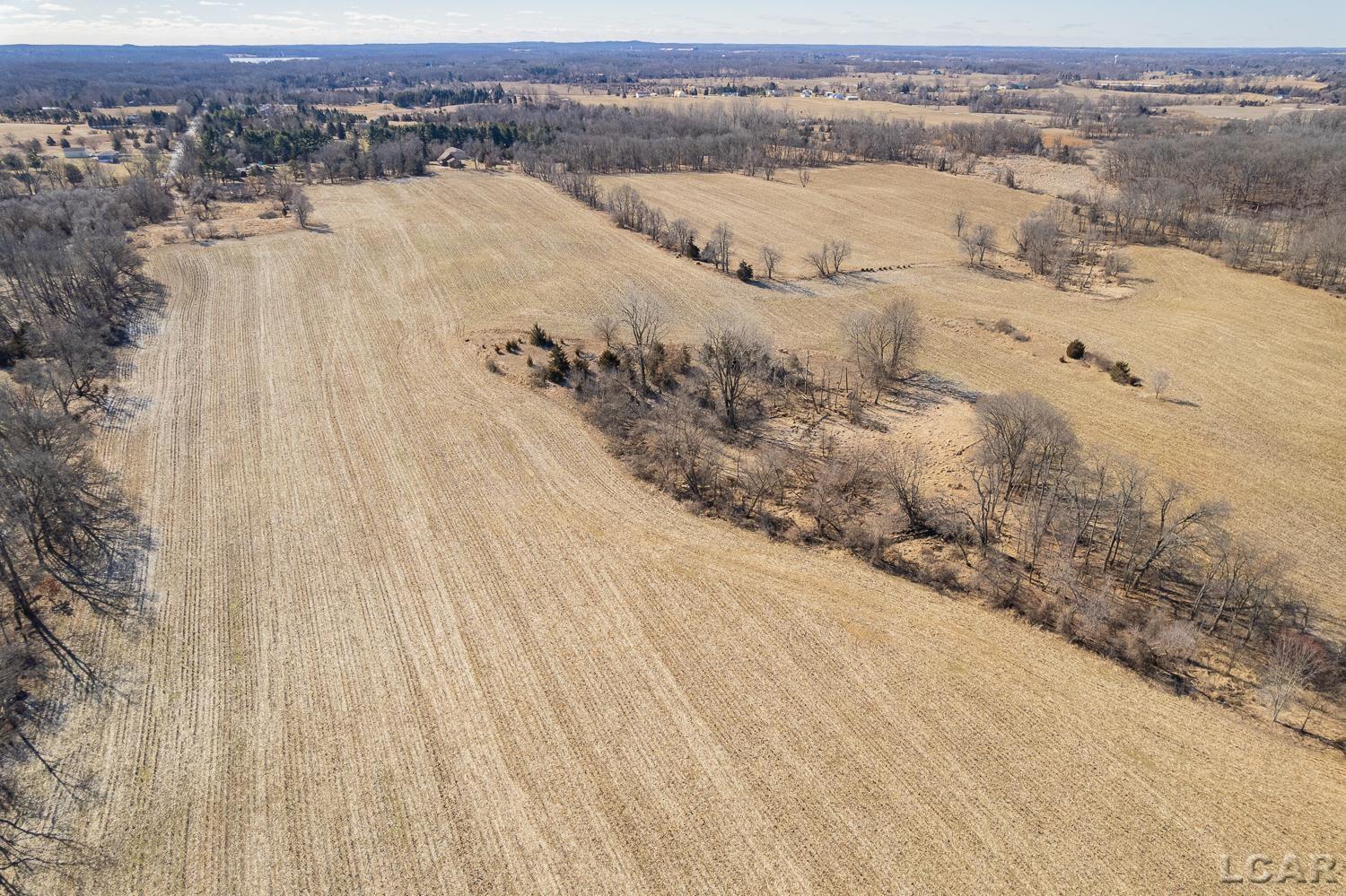 9550 Case Road, Brooklyn, MI, 49230