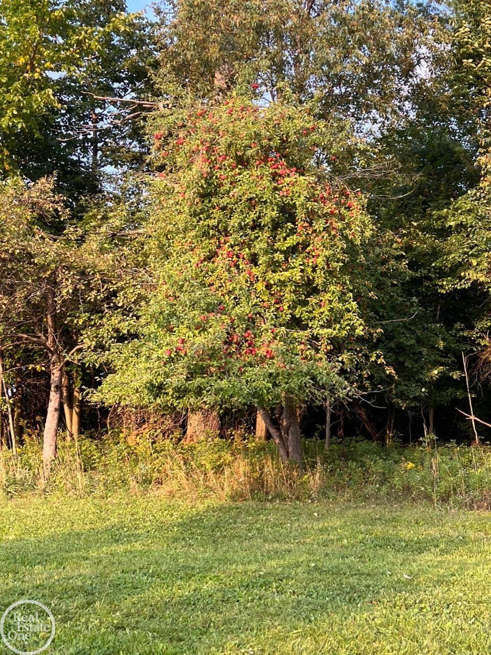 0 Harrington (Dot St.) Road, Croswell, MI, 48422