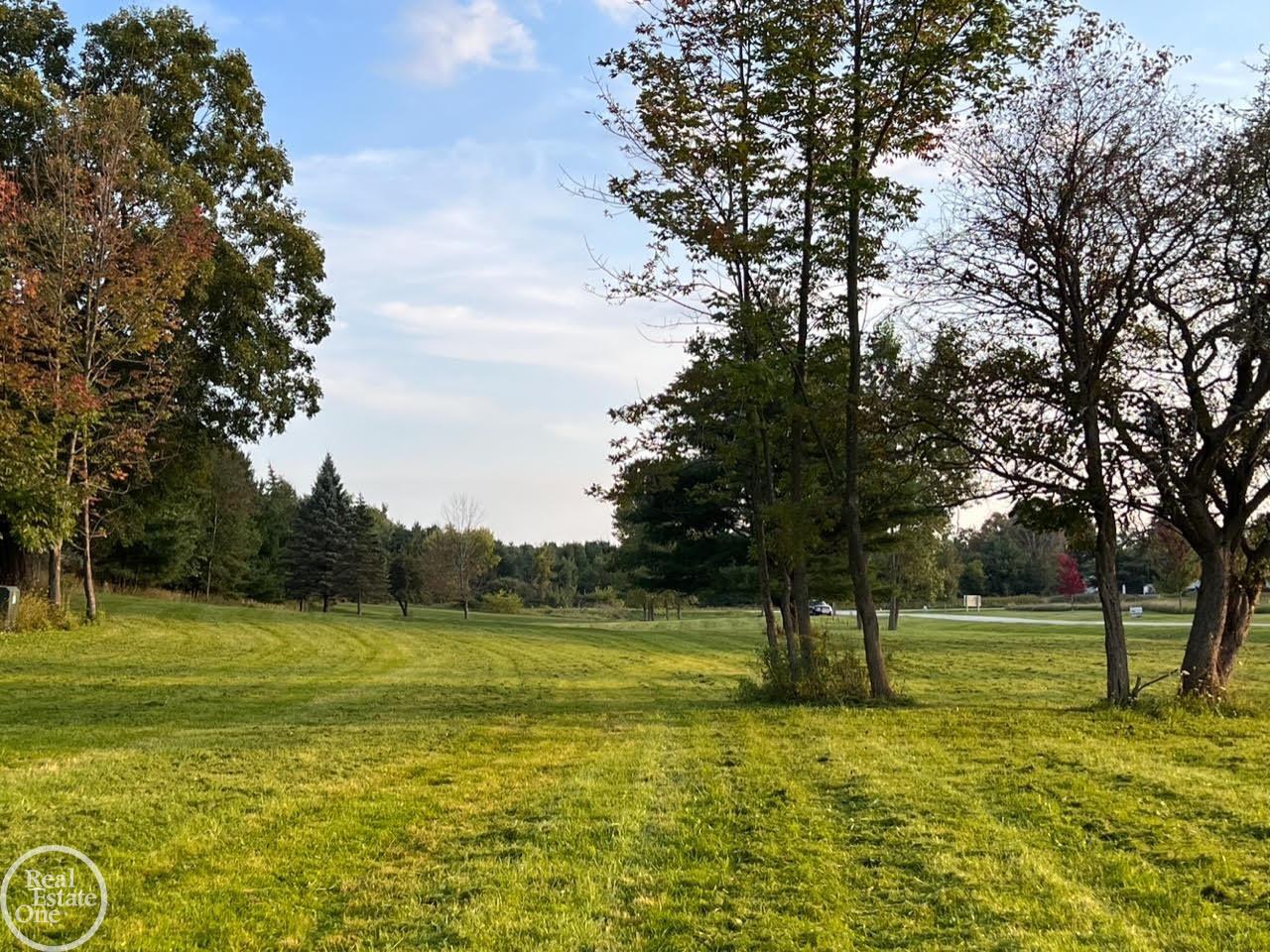 0 Harrington (Dot St.) Road, Croswell, MI, 48422