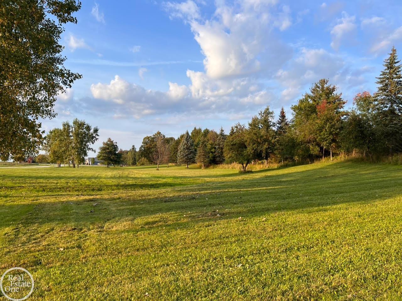 0 Harrington (Dot St.) Road, Croswell, MI, 48422