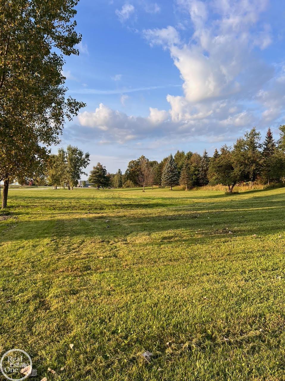 Homes for sale in Croswell, MI | 0 Harrington (dot St) Rd, Croswell, MI 48422 | MLS# 50200737