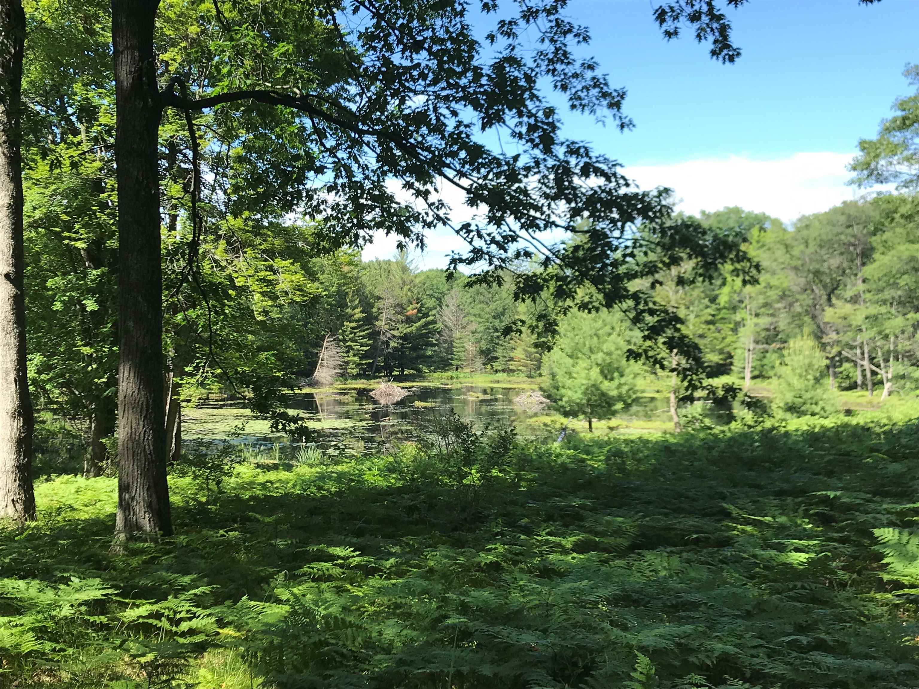 1218 Headquarters Road, Prudenville, MI, 48651