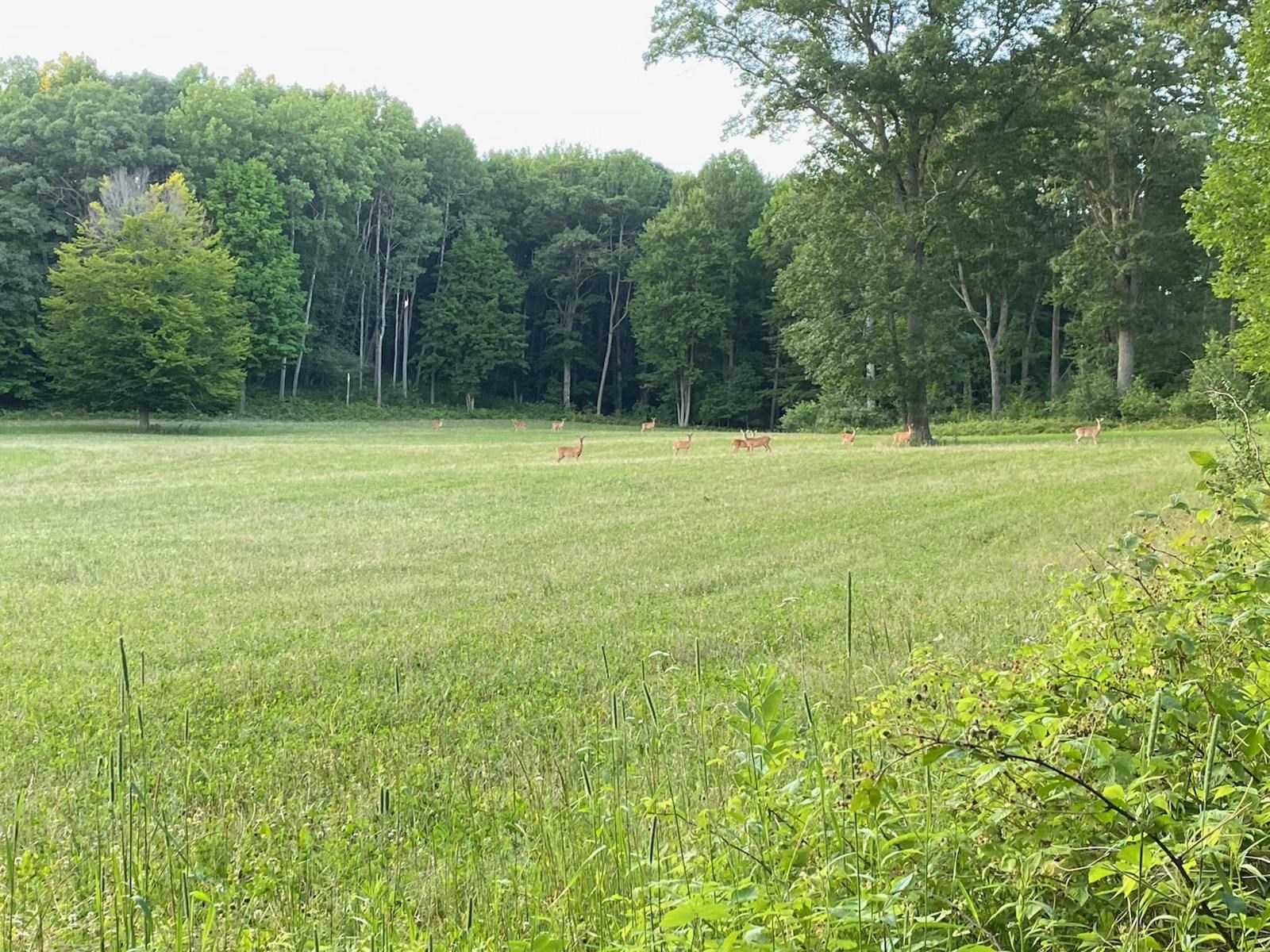 Homes for sale in Prudenville, MI | 1218 Headquarters Rd, Prudenville, MI 48651 | MLS# 50200738