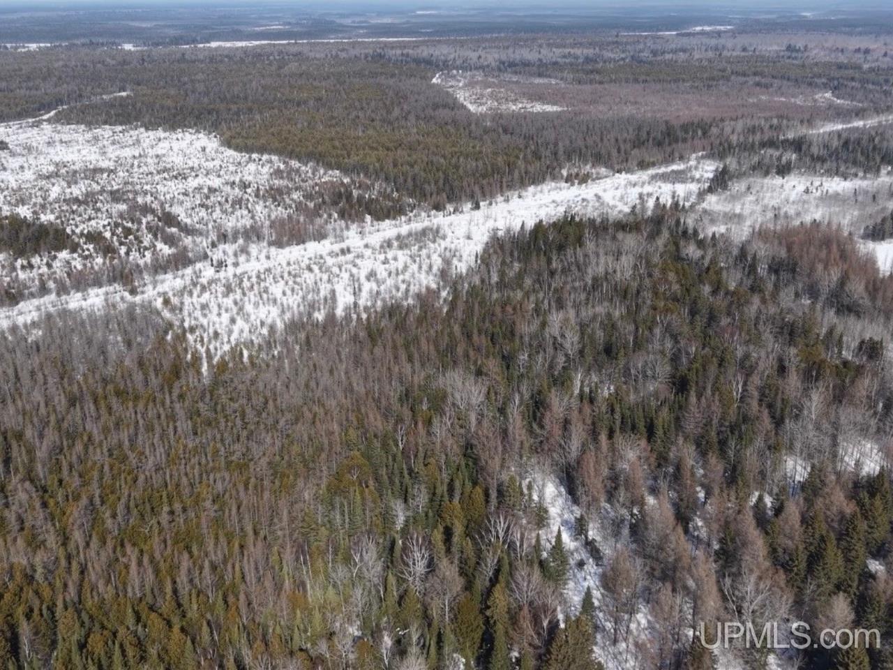 E 80 Acres River Road photo 12