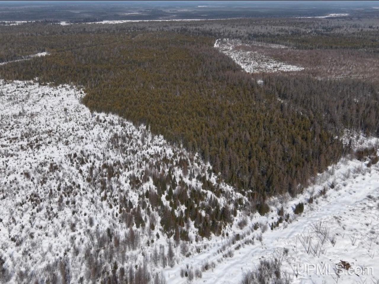 E 80 Acres River Road photo 13