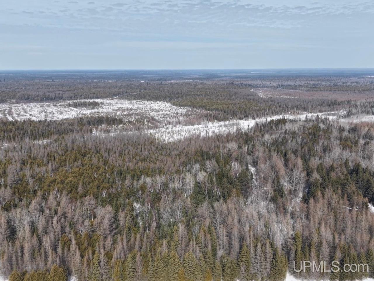 E 80 Acres River Road photo 17