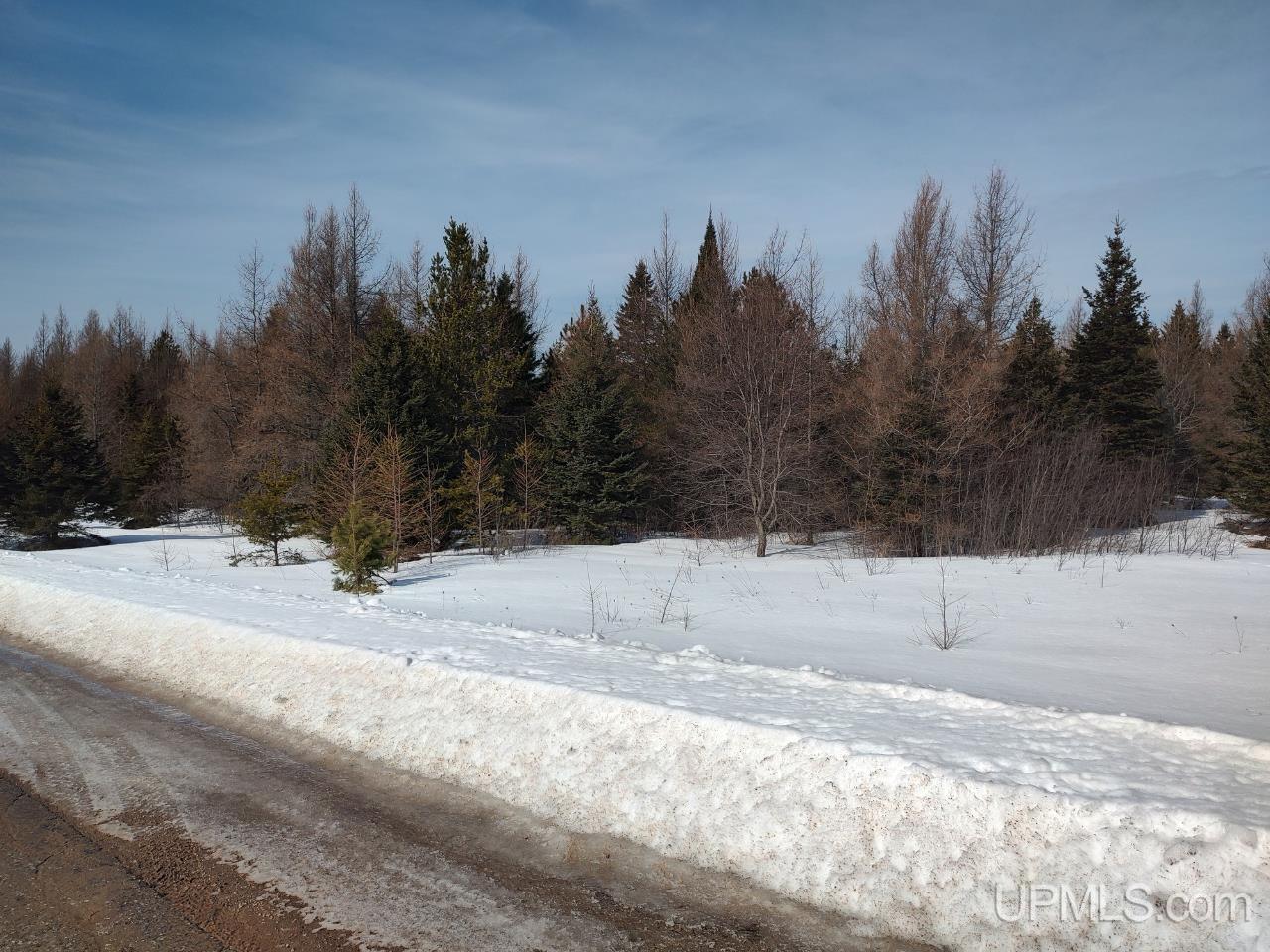 E 80 Acres River Road photo 4
