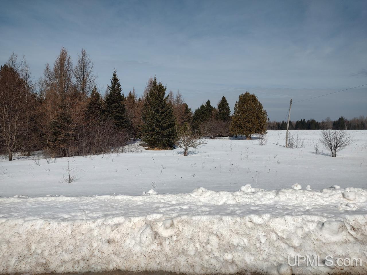 E 80 Acres River Road photo 5