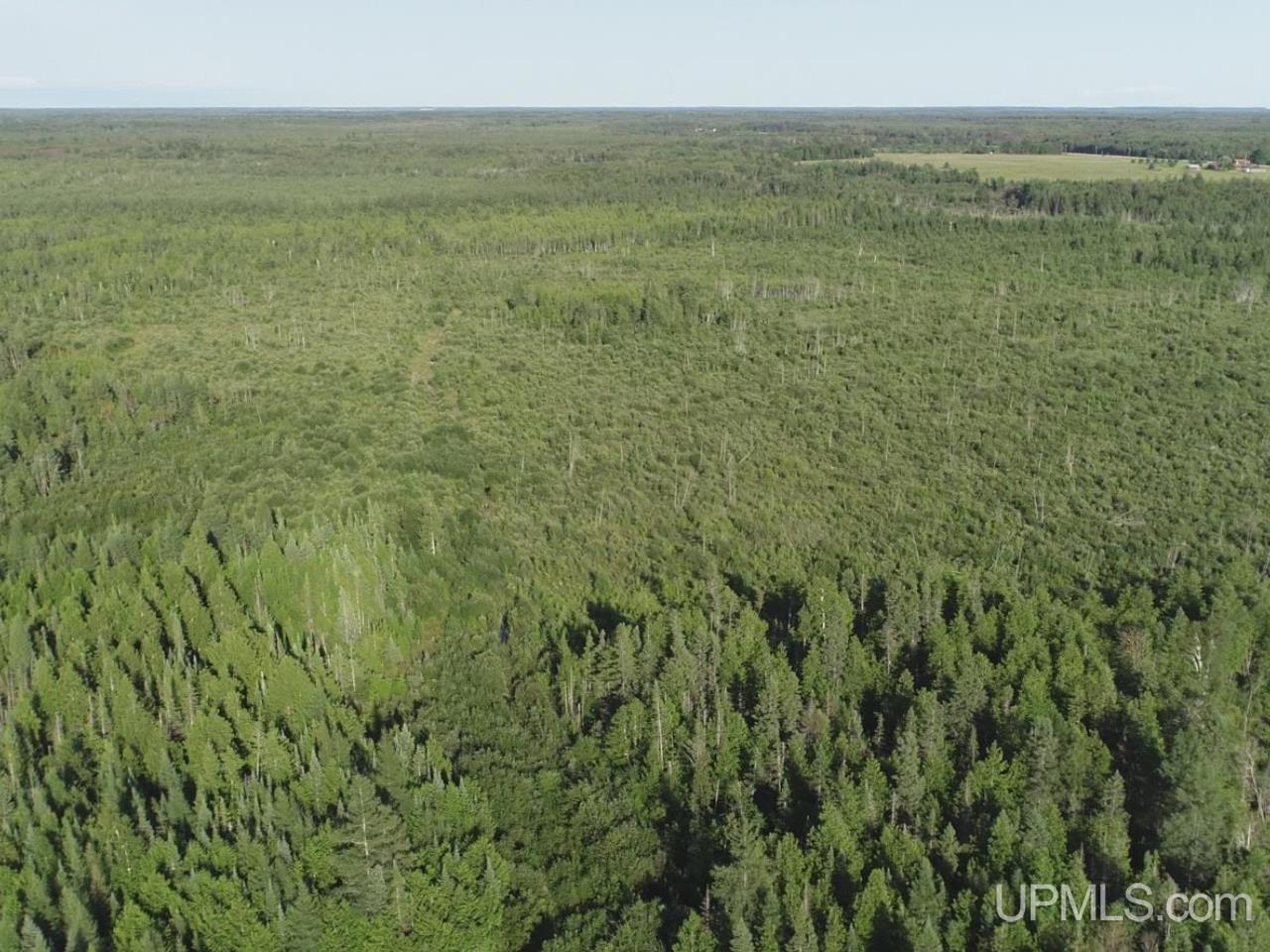 E 80 Acres River Road photo 8
