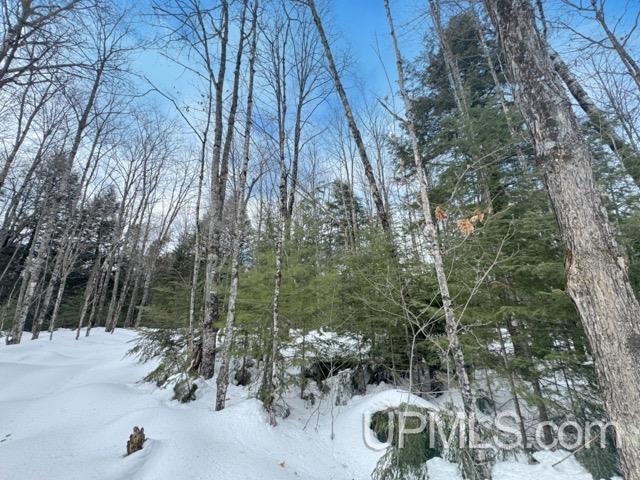 Photo of property for sale at Lot 7 W Tamarack Lake Road, Watersmeet MI 49969