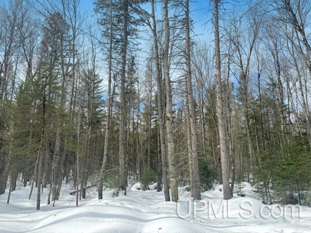 Lot 7 W Tamarack Lake Road photo 2