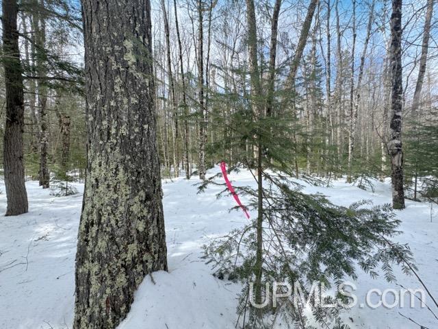 Lot 7 W Tamarack Lake Road photo 3