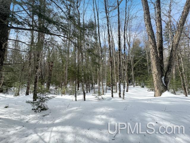 Lot 7 W Tamarack Lake Road photo 4