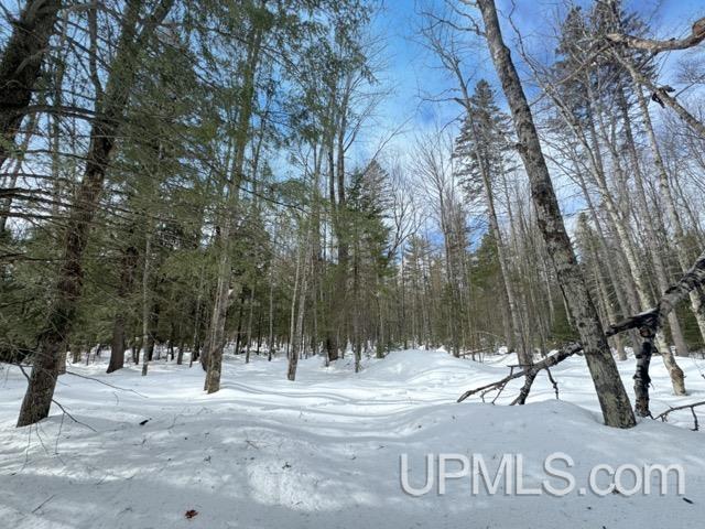Lot 7 W Tamarack Lake Road photo 5