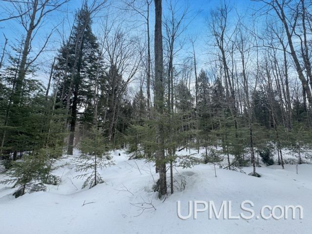 Lot 7 W Tamarack Lake Road photo 6