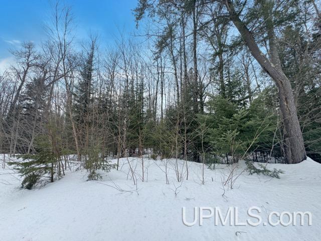 Lot 7 W Tamarack Lake Road photo 7