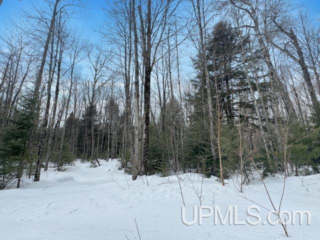 Lot 7 W Tamarack Lake Road photo 8