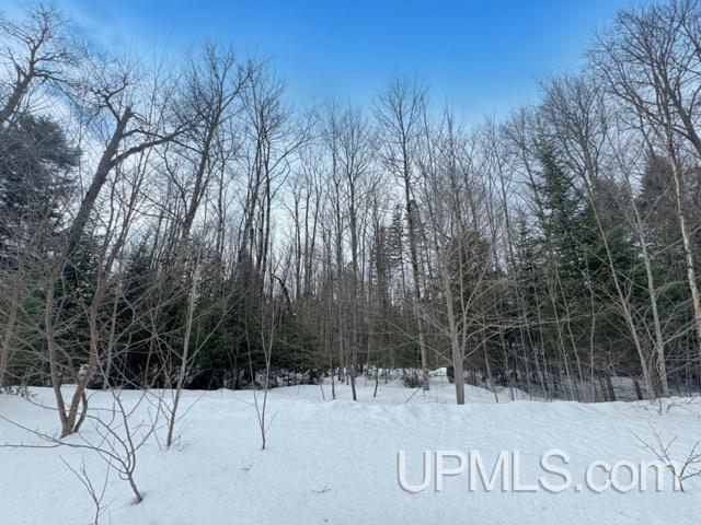 Lot 7 W Tamarack Lake Road photo 9