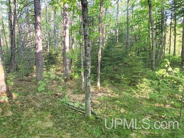 Lot 7 W Tamarack Lake Road photo 10