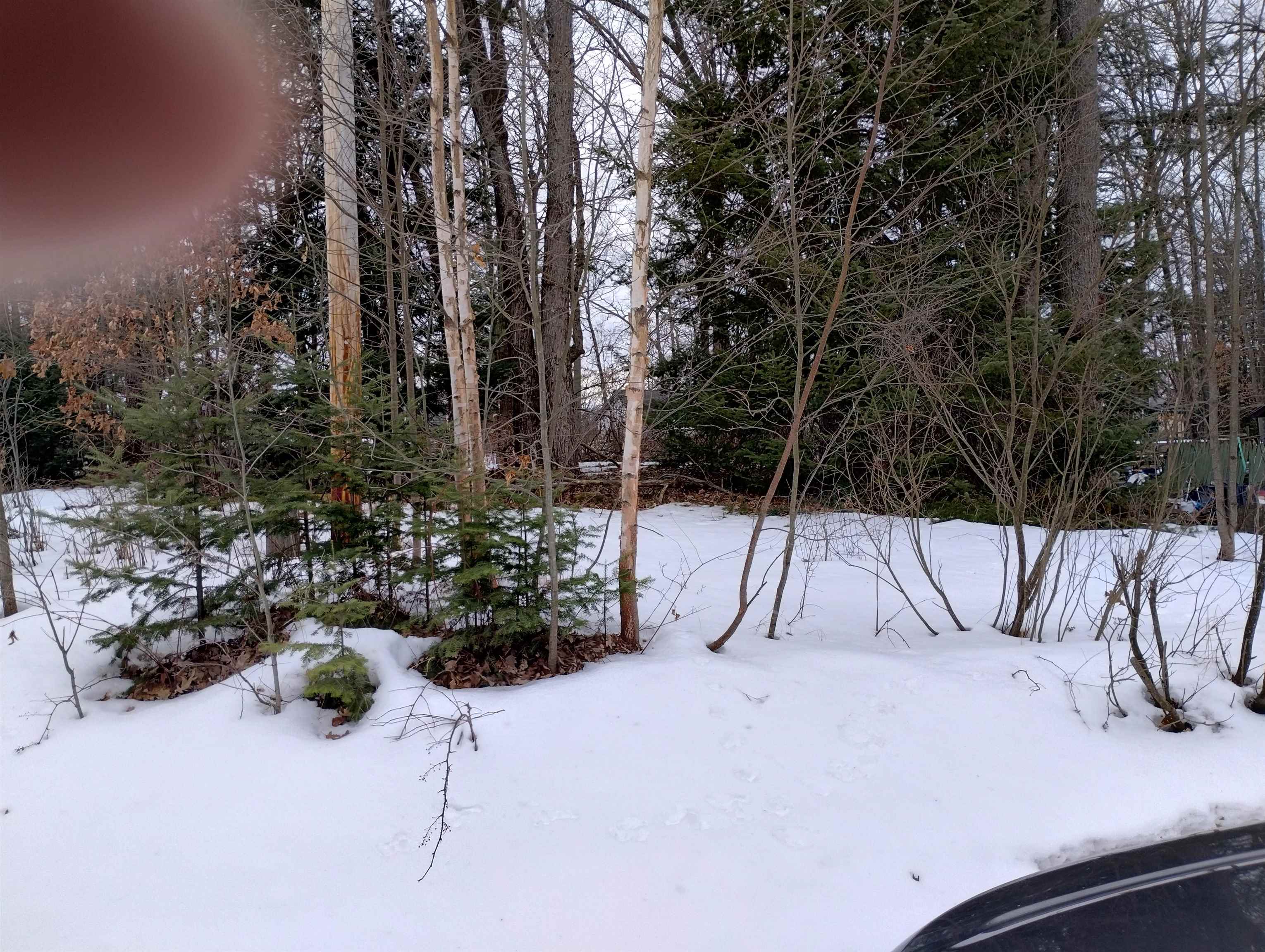 991 Pocahontas Road, Harrison, MI, 48625