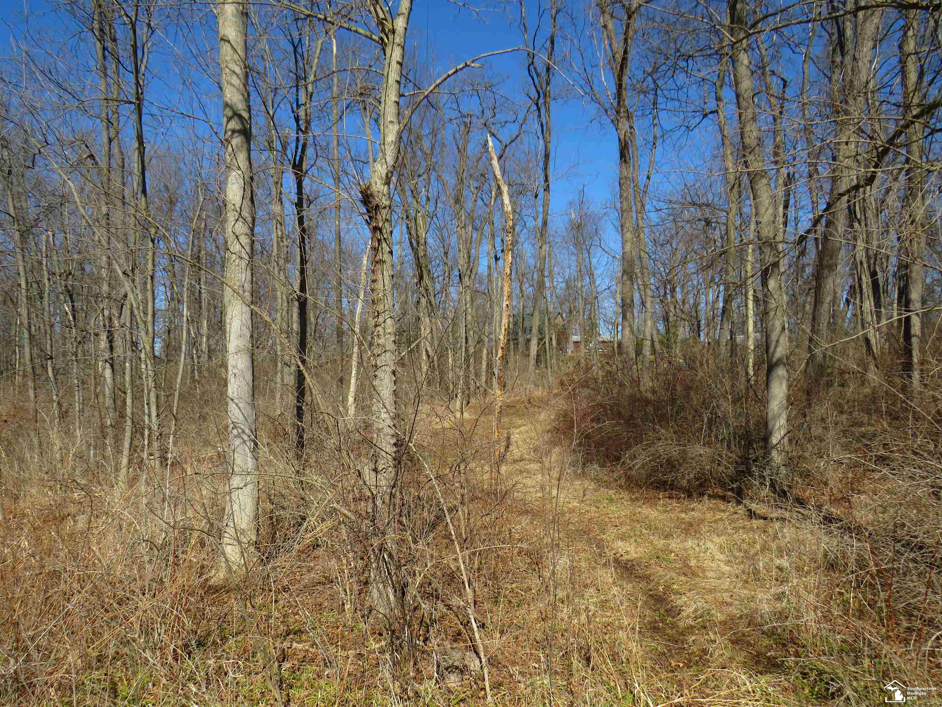 1193 Sand Lake Highway, Onsted, MI, 49265