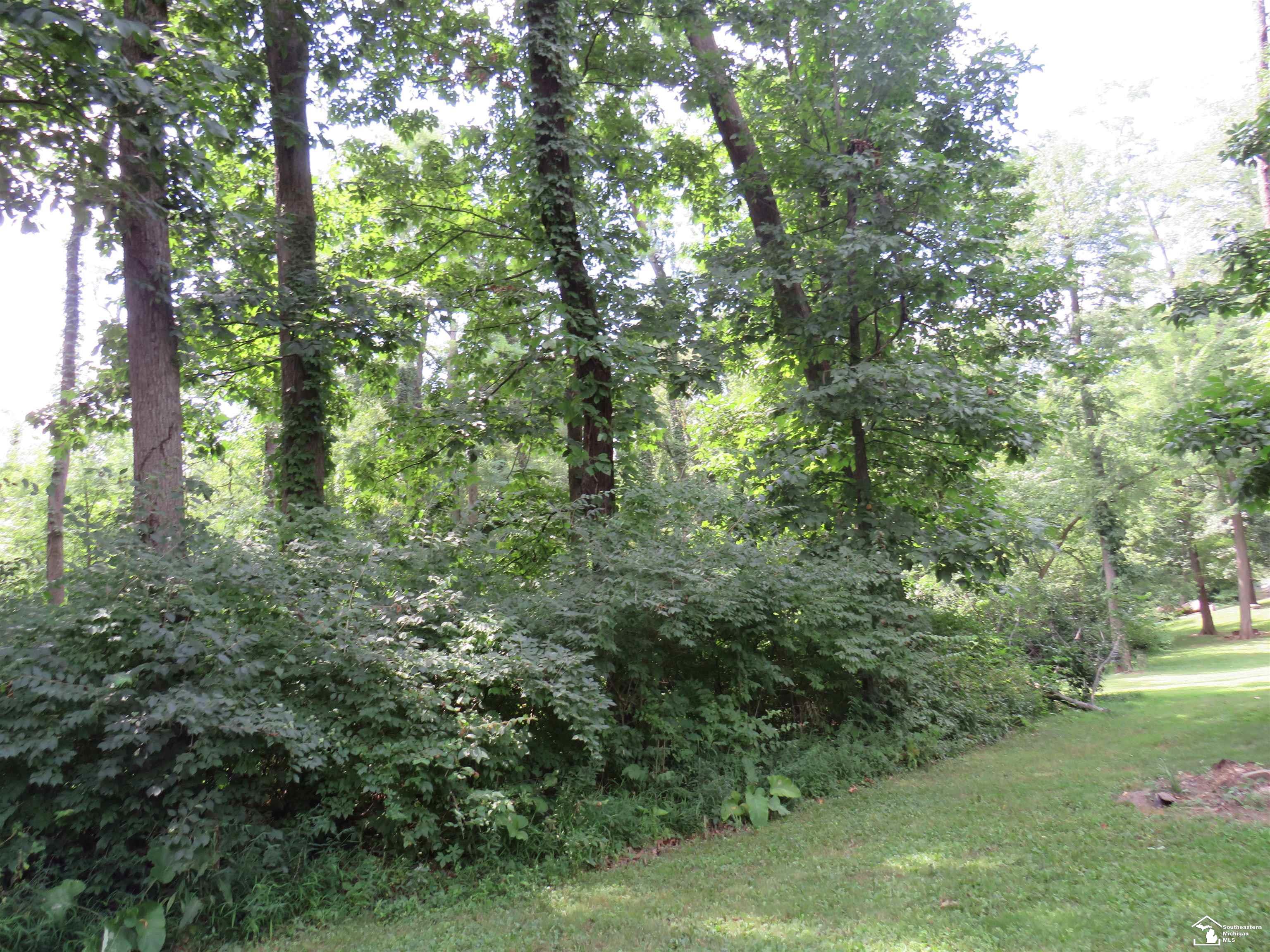 1193 Sand Lake Highway, Onsted, MI, 49265