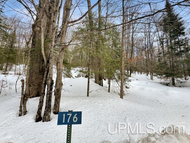 176 E Lake Emily Road, Crystal Falls, MI, 49920