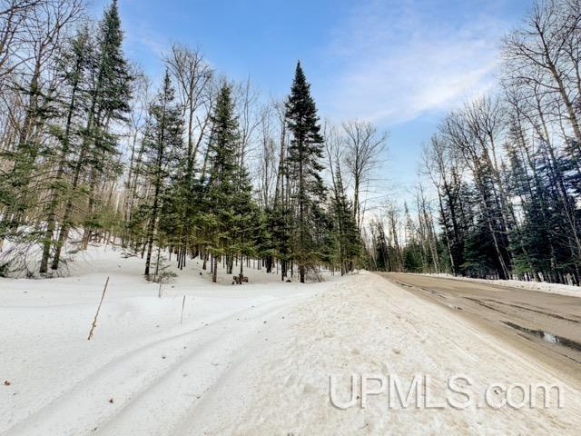 176 E Lake Emily Road, Crystal Falls, MI, 49920