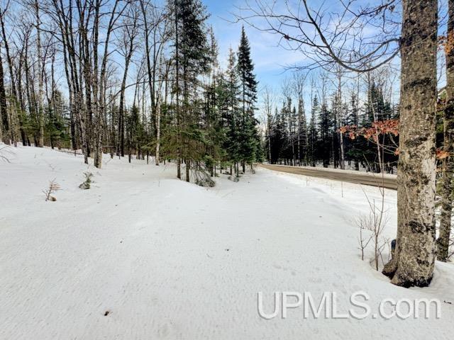 176 E Lake Emily Road, Crystal Falls, MI, 49920