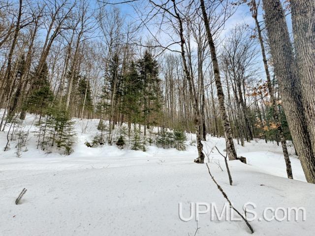 176 E Lake Emily Road, Crystal Falls, MI, 49920