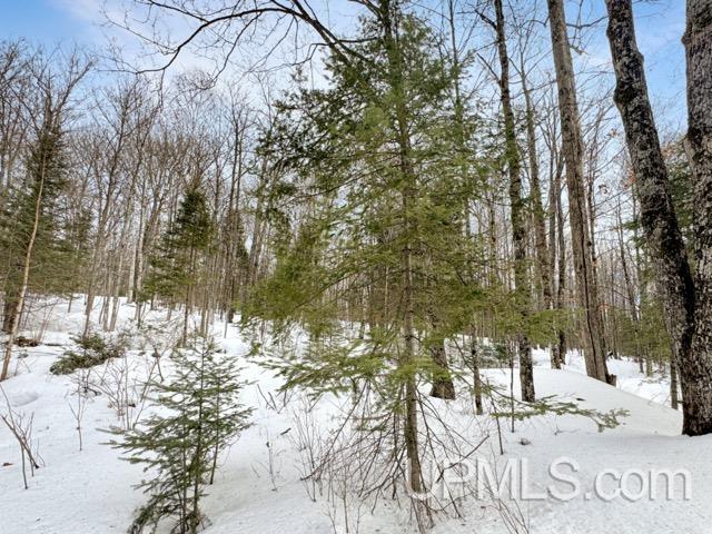 176 E Lake Emily Road, Crystal Falls, MI, 49920