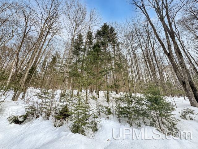 176 E Lake Emily Road, Crystal Falls, MI, 49920