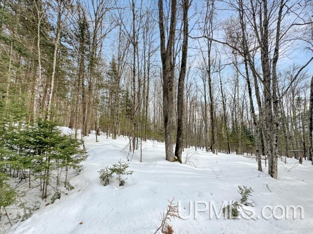 176 E Lake Emily Road, Crystal Falls, MI, 49920