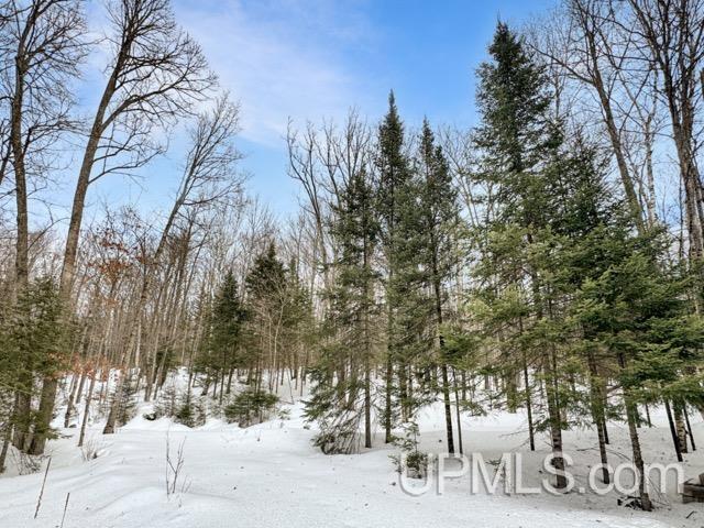 176 E Lake Emily Road, Crystal Falls, MI, 49920